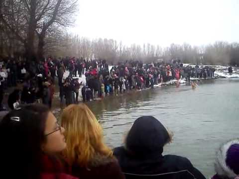 boboteaza giurgeni 2013