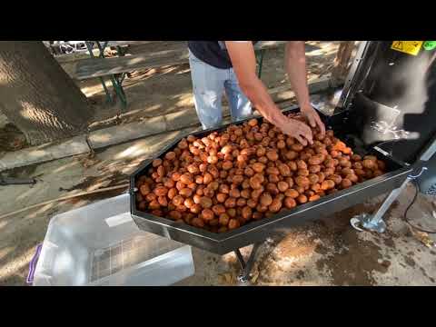 CEVİZ SOYMA MAKİNASI - Kadıoğlu CKS130 170 Litre Sehpalı Rendeli Model