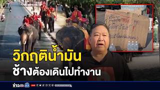 วิกฤติน้ำมัน ช้างต้องเดินไปทำงาน  l ตลาดข่าว - ข่าวเช้าเวิร์คพอยท์ l 19 มี.ค.69