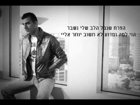 הפרח שנבל