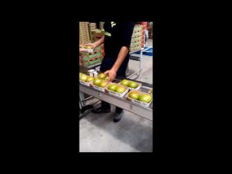 Minipack 500 Flow Wrap Minipack 500 Flow Wrap