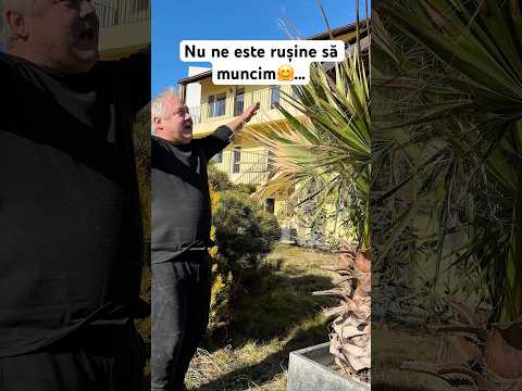 We are not ashamed to work🤗… #work #life #work #palmtrees #accommodation #coast #spring