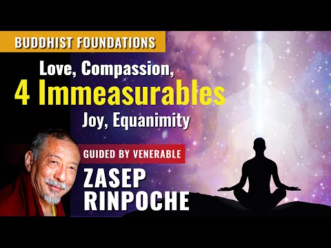 The Four Immeasurables: Love, Joy, Compassion, Equanimity — Foundations of Buddhist Practice