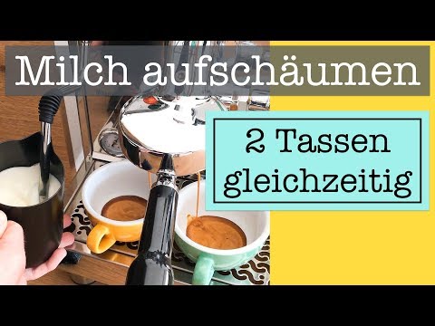 Milk steaming for 2 cups of cappuccino | Latte Art