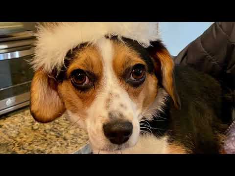 Happy birthday Cami!