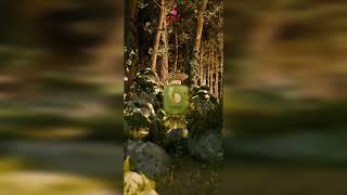 Video produs
