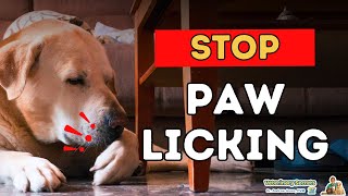 Dog Excessive Paw Licking: Stop It With Natural Recipe