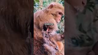 TW: Self/Auto Cannibalism