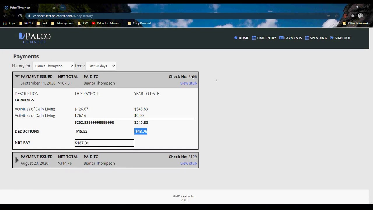 Palco Connect Portal  - Viewing Paystubs