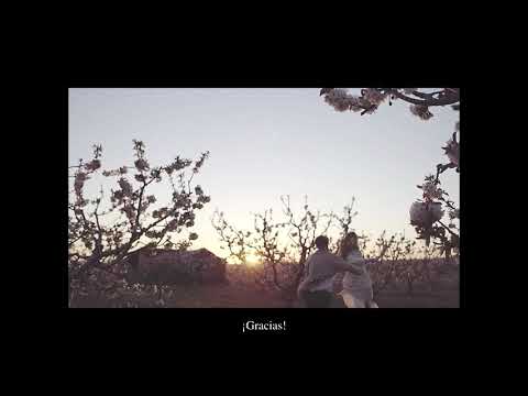 Canción de gratitud