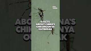 4 facts about China's chikungunya outbreak