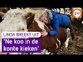 Linda breekt UIT! #8: 'Ne koo in de kont kieken' Dialectles | Omroep Gelderland