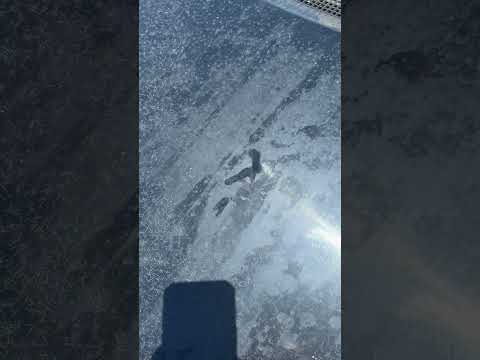 On Site Mobile Detailers Tucson - Disappointed Customer - Image 6