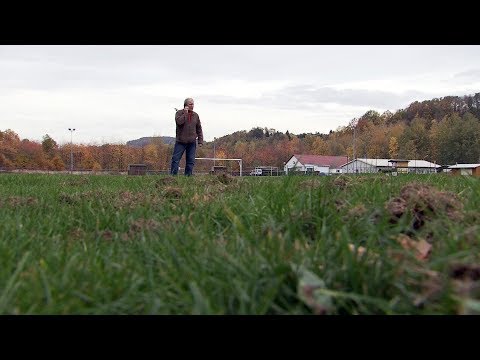 Neuerliche Sauerei beim SV Pirna-Süd