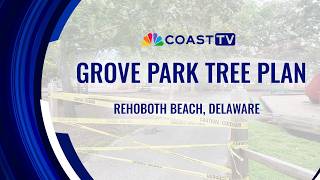 Rehoboth Beach begins level 2 assessment of Grove Park trees as area remains closed, farmers' market