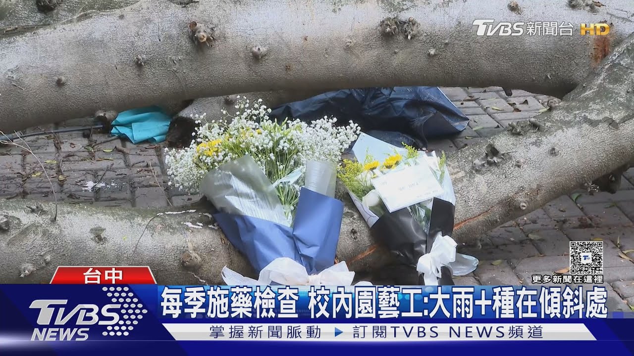 逢甲大學樹倒!壓斷碩一生人生路 鮮花、蠟燭悼念