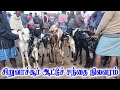 சிறுவாச்சூர் ஆட்டு சந்தை நிலவரம் Siruvachu