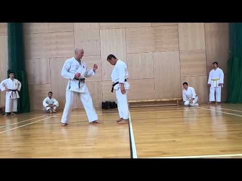 Kagawa Shihan demonstrates correct use of hips when kicking.Yoko Geri