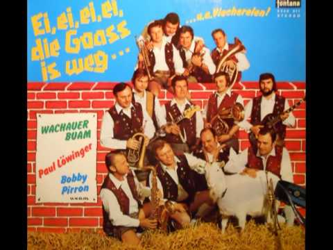 Wachauer Buam - Ei ei ei ei, die Goass is weg