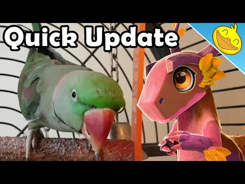 Quick Update Video - What should I buy in JAPAN????