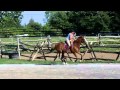 Mystic Hazel - Gladstone Farm