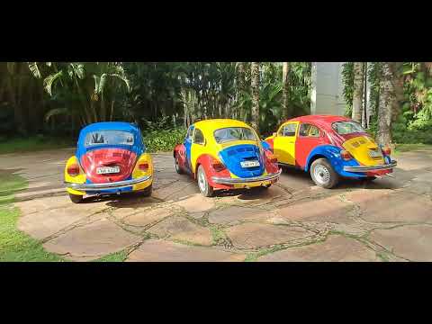 INSTITUTO Inhotim BRUMADINHO Minas Gerais 