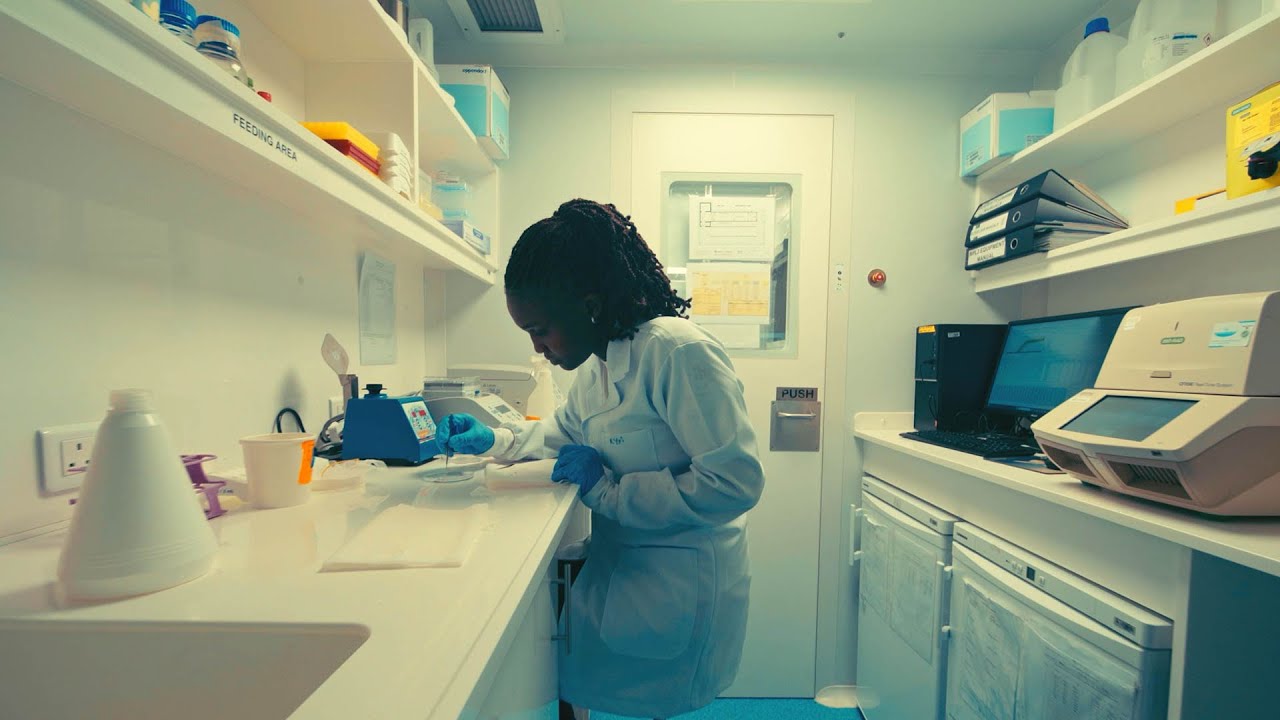 Scientists have created a revolutionary mosquito that is incapable of transmitting malaria