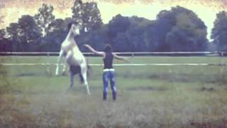 wherever the rain goes.