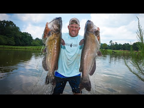 MONSTER CHANNEL CATFISH!!! {Catch Clean Cook} Cooking for a Meet n' Greet