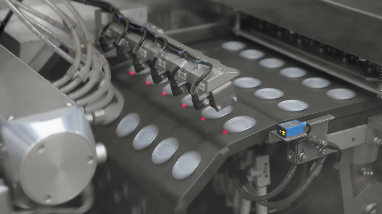 Immagine poster del video