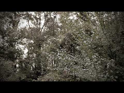 Duet Radulović, Jovanović, NO Žarka Milanovića, Da sam jadna izvor voda 'ladna