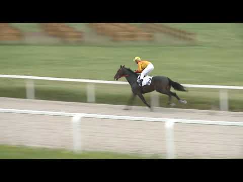 2021.05.23. 02. futam - TÖRÖKSZENTMIKLÓSI DÍJ (V.kat.) (szintetikus pálya)