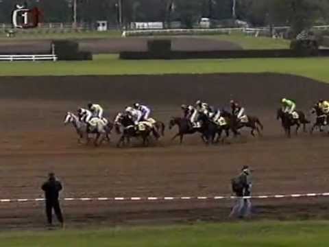 Velká Pardubická 2002-Maskul(Peter Gehm)