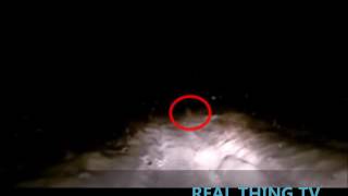 Yeti' Spotted in remote wilderness