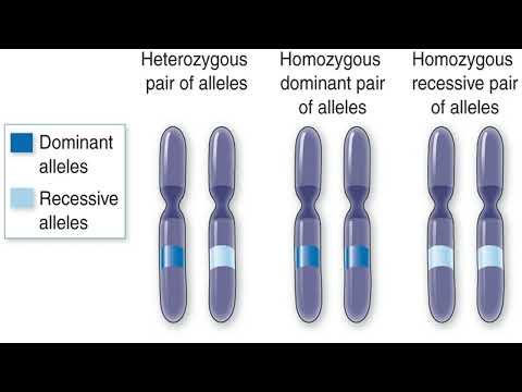 BIO 1150 Pathophysiology Week 1 Lecture