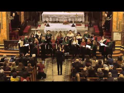 Stille nacht - Canticum & Razvan Rados