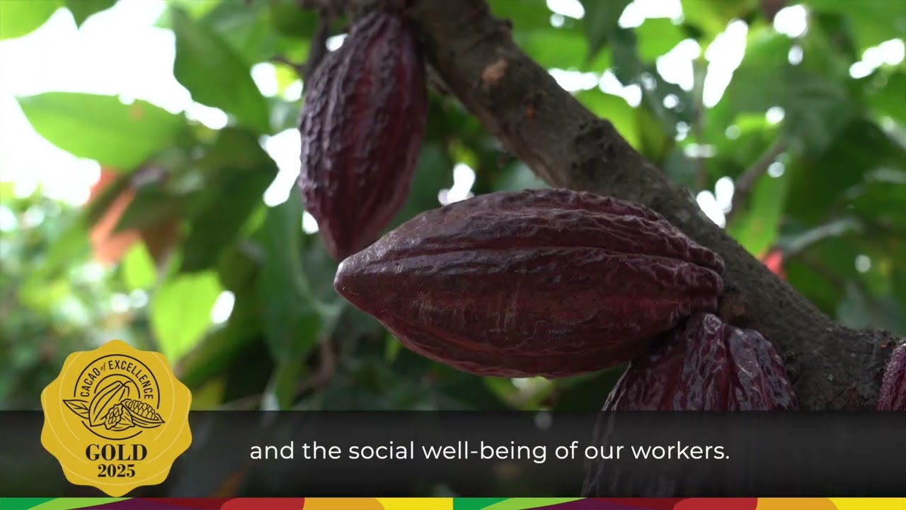 Ecuador - Bean & Co Processing