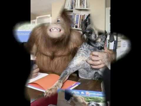 KO KUCHETO MOE NIGDE NEMA DRUGO