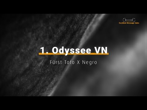 Odyssee VN - Fürst Toto x Negro - Extra Video