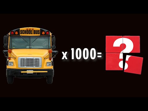 The BIG PROBLEM with Skooliepalooza ...