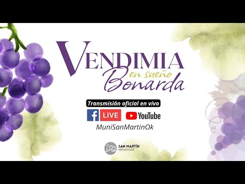 🔴VENDIMIA DEL DEPARTAMENTO DE GENERAL SAN MARTÍN "EN SUEÑO BONARDA"