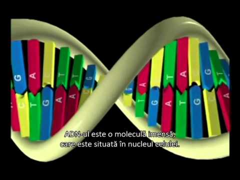 Destramarea Darwinismului (Teoria Evolutiei) - 2