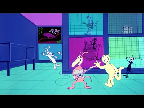 Rock & Roll Pet Store