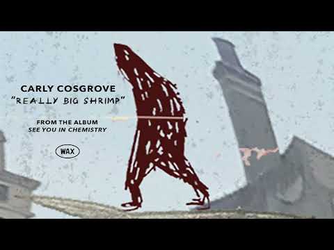 Really Big Shrimp - Carly Cosgrove