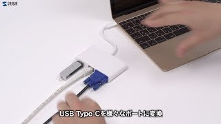 USB Type C-VGAマルチ変換アダプタ with LANの紹介