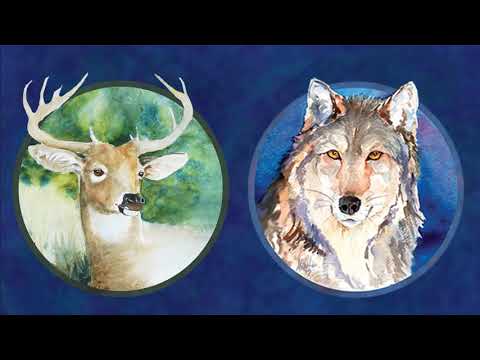 How to Work With Spirit Animals: What It Means When Very Different Animals Show Up