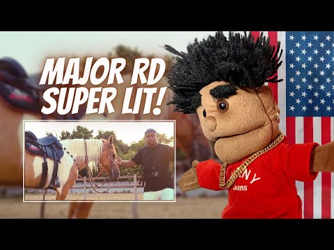 GRINGO REAGINDO 🇺🇸 Major RD - 60K 🐎 (prod. @baratafather) 🇧🇷