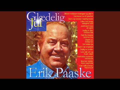 Sikken voldsom trængsel og alarm