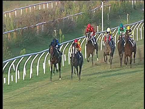 Galoppo 30/08/2017 - 3ª corsa