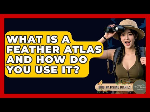 What Is A Feather Atlas And How Do You Use It? - Bird Watching Diaries